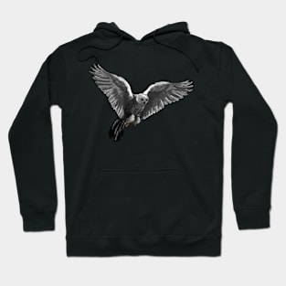 Owl Flight Hoodie